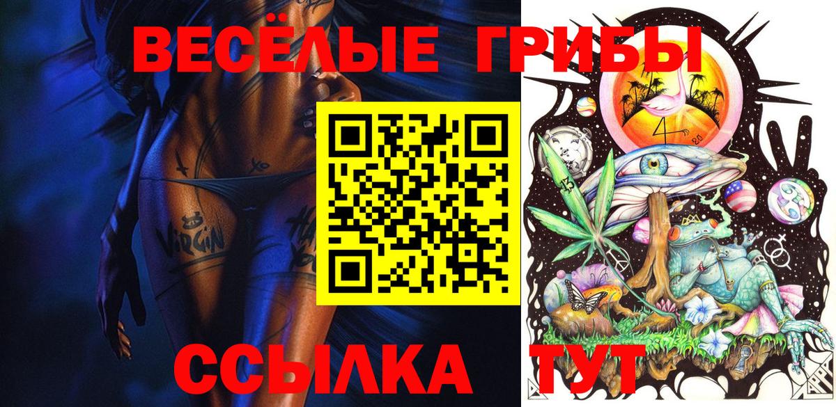 Псилоцибиновые грибы Psilocybine cubensis Сергиев Посад