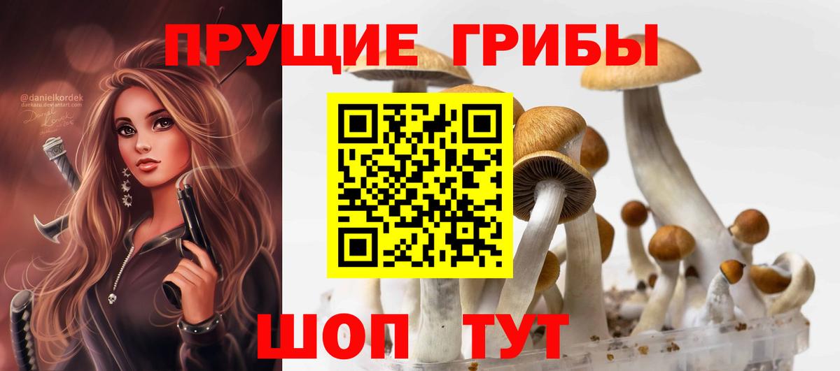 Псилоцибиновые грибы Psilocybe  Вход с VPN  Сергиев Посад  Галлюциногенные грибы MAGIC MUSHROOMS 